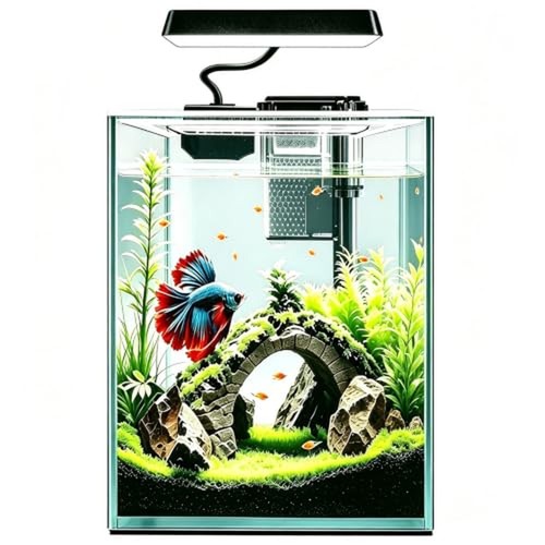 Kit avviamento acquario - acquario, betta