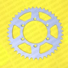 CORONA TRASMISSIONE IN ERGAL