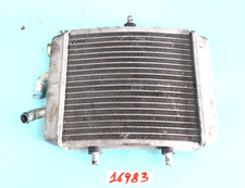 RADIATORE APRILIA SCARABEO