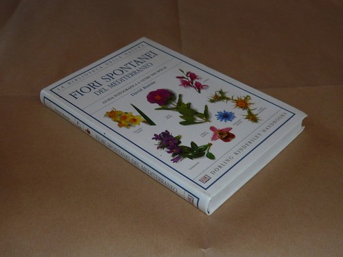 Fiori spontanei del - fiori,