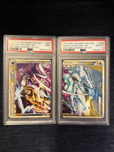 Psa raikou suicune - psa,