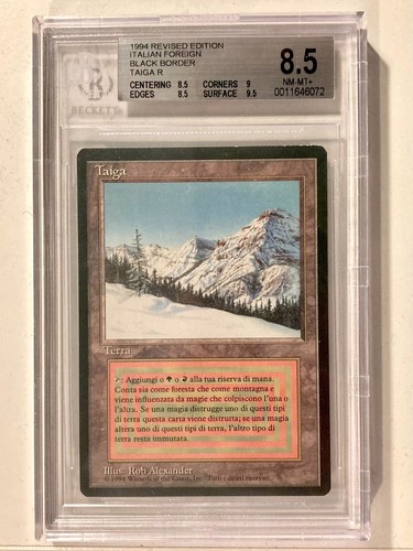 Taiga mtg magic ita - taiga,