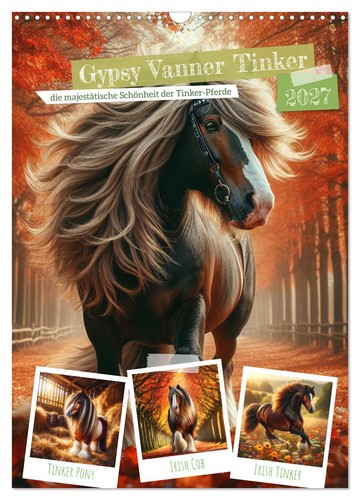 Gypsy vanner tinker die - gypsy,