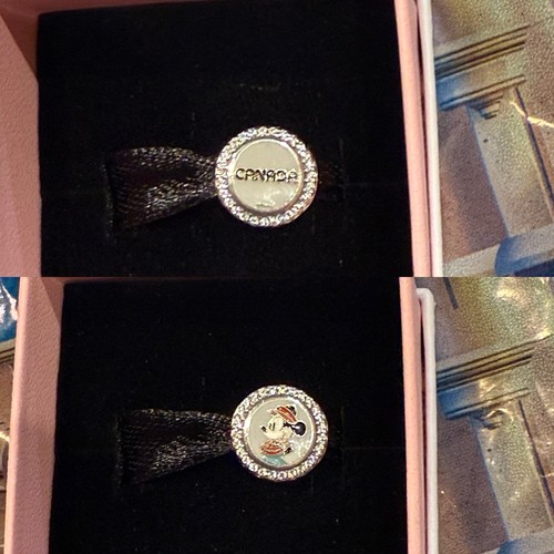 Charm pandora disney epcot - charm,