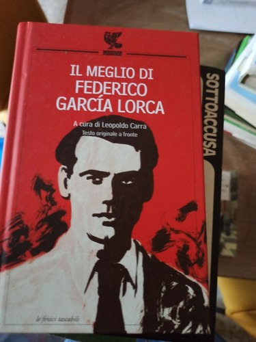 Meglio federico garcia - federico,