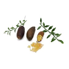 Citrus australasica rosa - cv, "rosa"