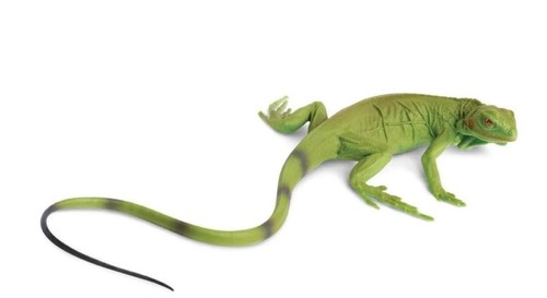 Safari ltd 258329 - ltd, iguana