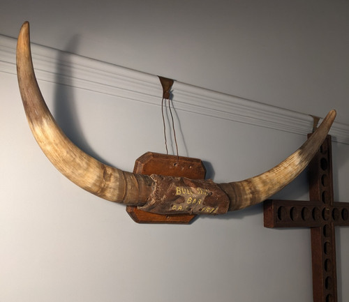 Vintage unusual cow - vintage,