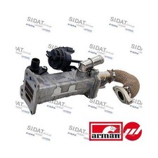 Radiatore ricircolo gas - ricircolo, di