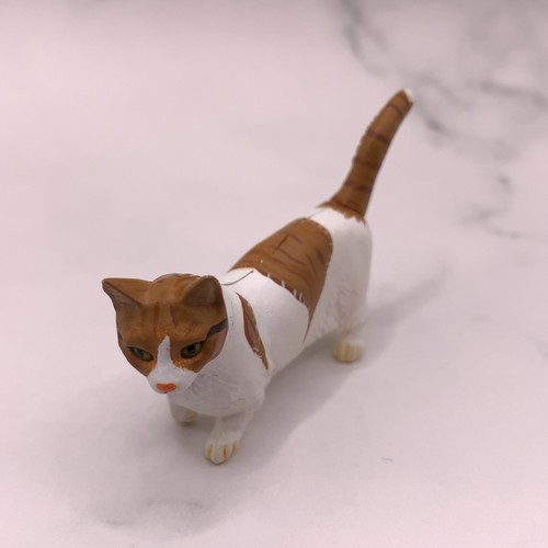 Munchkin gatto bianco rosso
