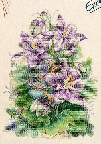 Clematis flower lady maiden - flower,