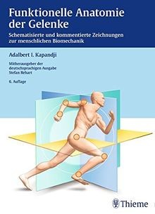 Funktionelle anatomie der - funktionelle,