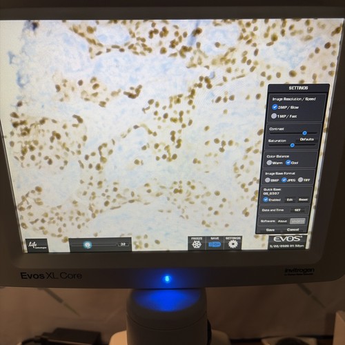 Microscopio thermo invitrogen - microscopio,
