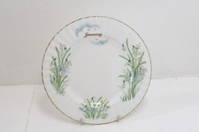 Royal Albert Fiore del Mese