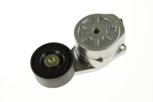 Tendicinghia multi rigato - -,