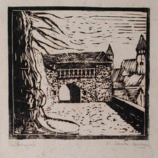 Xilografia Tubinga veduta