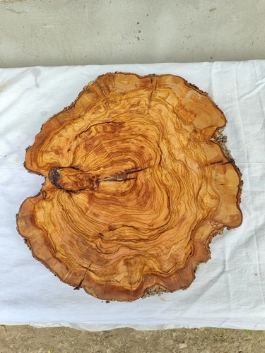 Lastra legno ulivo bordo - di,