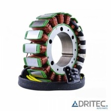 ✅  Alternatore statore stator BMW F 800 GS (2009-2014) entrada 24/48 horas