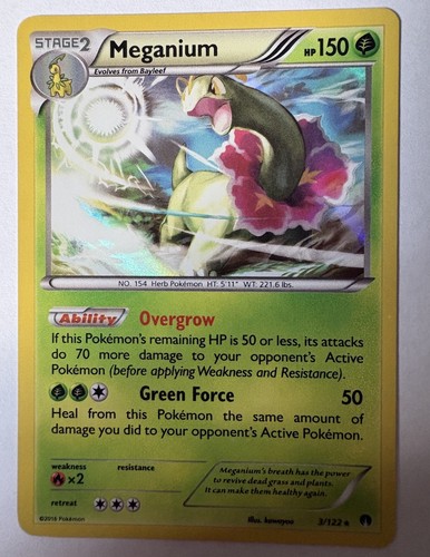 Meganium 122 holo - meganium,