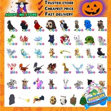 Uovo per animali domestici MFR