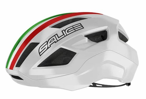 Salice casco vento bianco - salice,