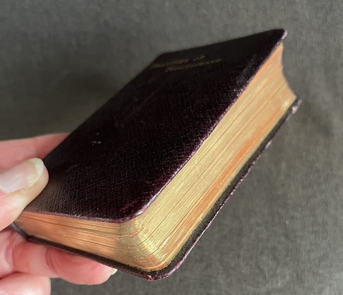 Pocket binding 1880s - binding, ~1880s~