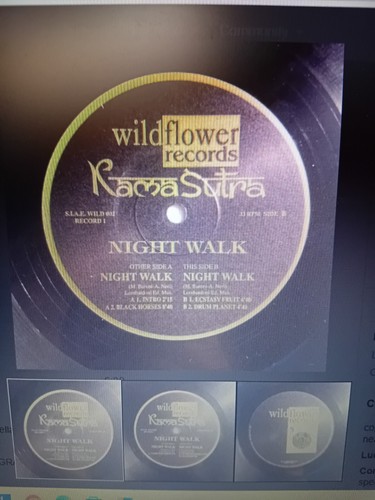 Kamasutra night walk disc - -,