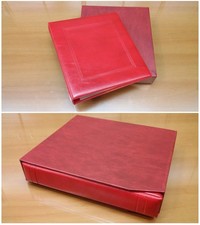 MASTERPHIL RACCOGLITORE CON