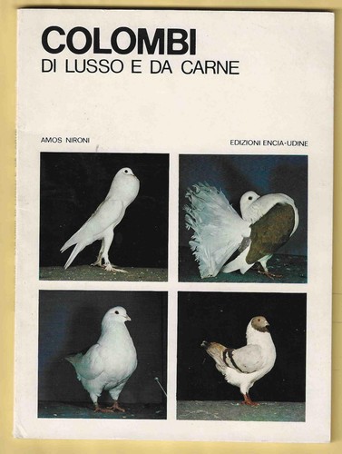Amos nironi colombi - -, di