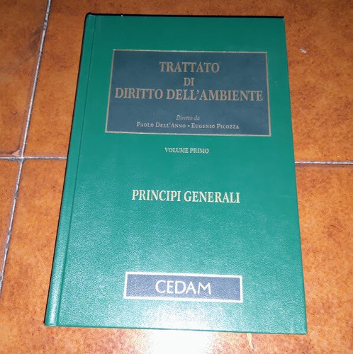 Dell anno picozza trattato - trattato, di