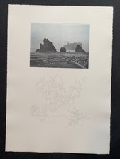 Daniel Roth, Island 4