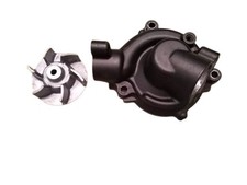 CARTE + GIRANTE POMPA ACQUA CARDS + WATER PUMP IMPELLER KAWASAKI Z 750 07-11