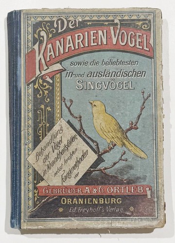 Kanarienvogel ornithologie - kanarienvogel,