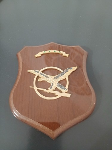 Crest guardia finanza atpi - crest,