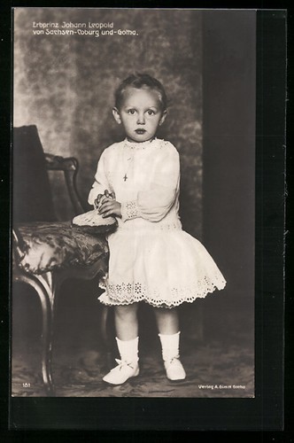 Piccolo principe ereditario - il,