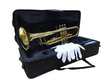 W. Stern Tromba In sib laccata