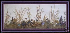 antico quadro teca bella composizione veri fiori campo