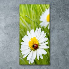 Quadro arte da parete stampa