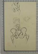 DISEGNO ANTICO ANATOMIA CORPO