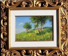 Alfredo Beisone ( Pinerolo TO