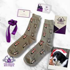 BORDER COLLIE CHRISTMAS SOCKS