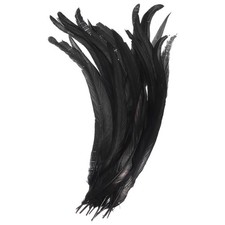 14-16" Gallo Piume,20pz Sfuso