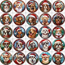 Bolla di Natale per cani