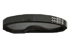 Cinghia trasmissione primaria