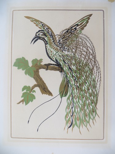 1900 1920 bella litografia - 1900/1920,
