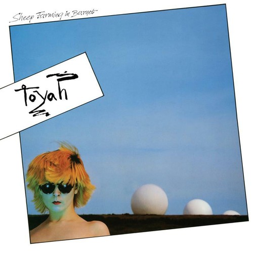 Toyah sheep farming barnet - toyah,