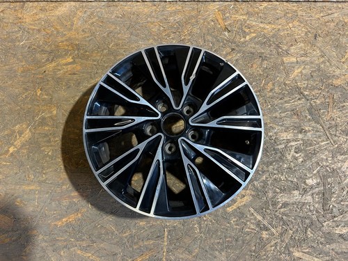Cerchio lega volkswagen - cerchio,
