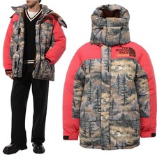 Gucci jacket the - x, north