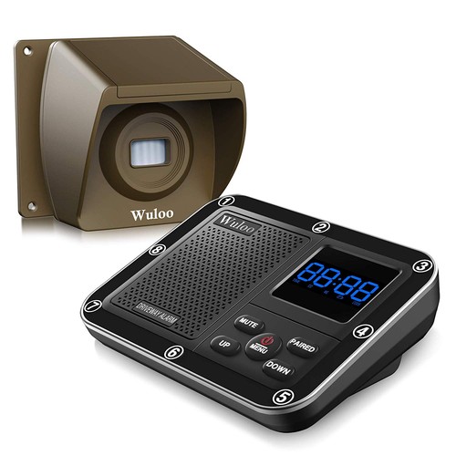 Allarme vialetto wireless