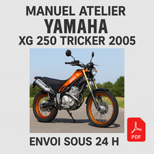 Manuel atelier yamaha 250 - manuel,